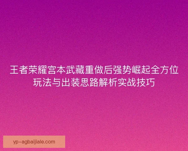 王者荣耀宫本武藏重做后强势崛起全方位玩法与出装思路解析实战技巧